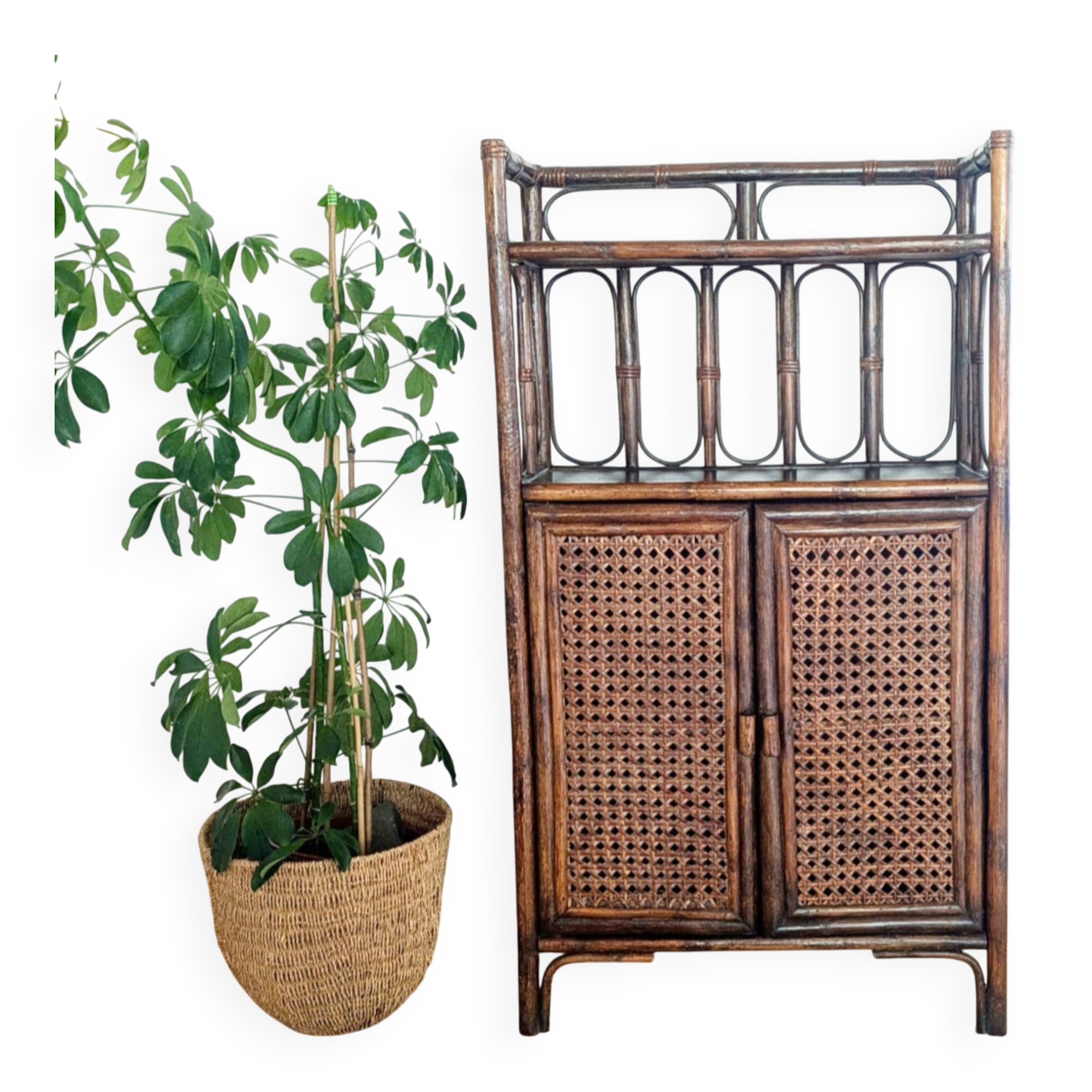 Rattan and cane bookshelf shelf