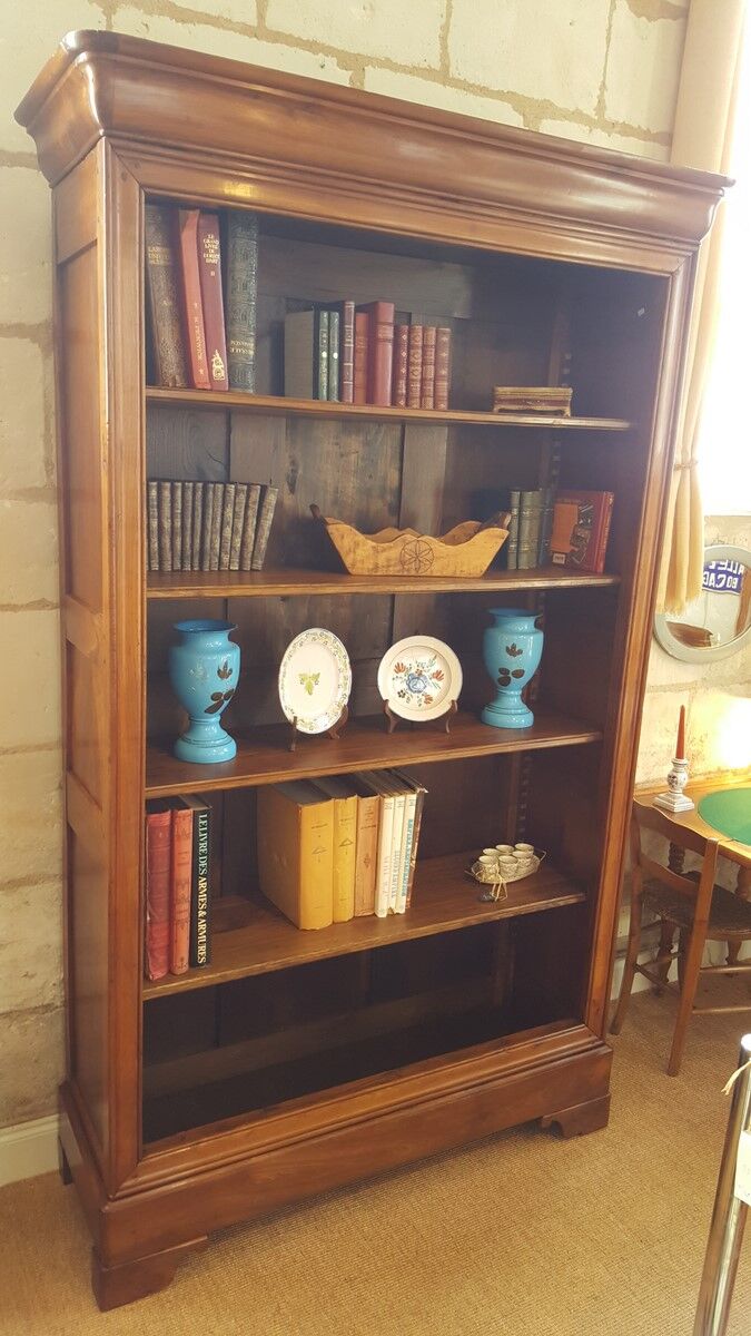 Old library style Louis Philippe of the nineteenth