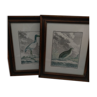 2 framed plates, quail and jabiru, buffon