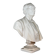 Male bust in white statuary marble, Carrara circa 1900