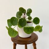 Vintage wooden tripod stool