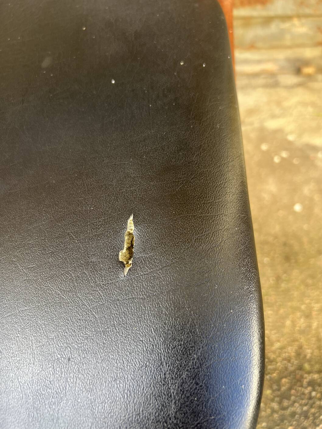 Set of 2 Scandinavian chairs Model 49 by Erik Buch for O.D. Mobler, D