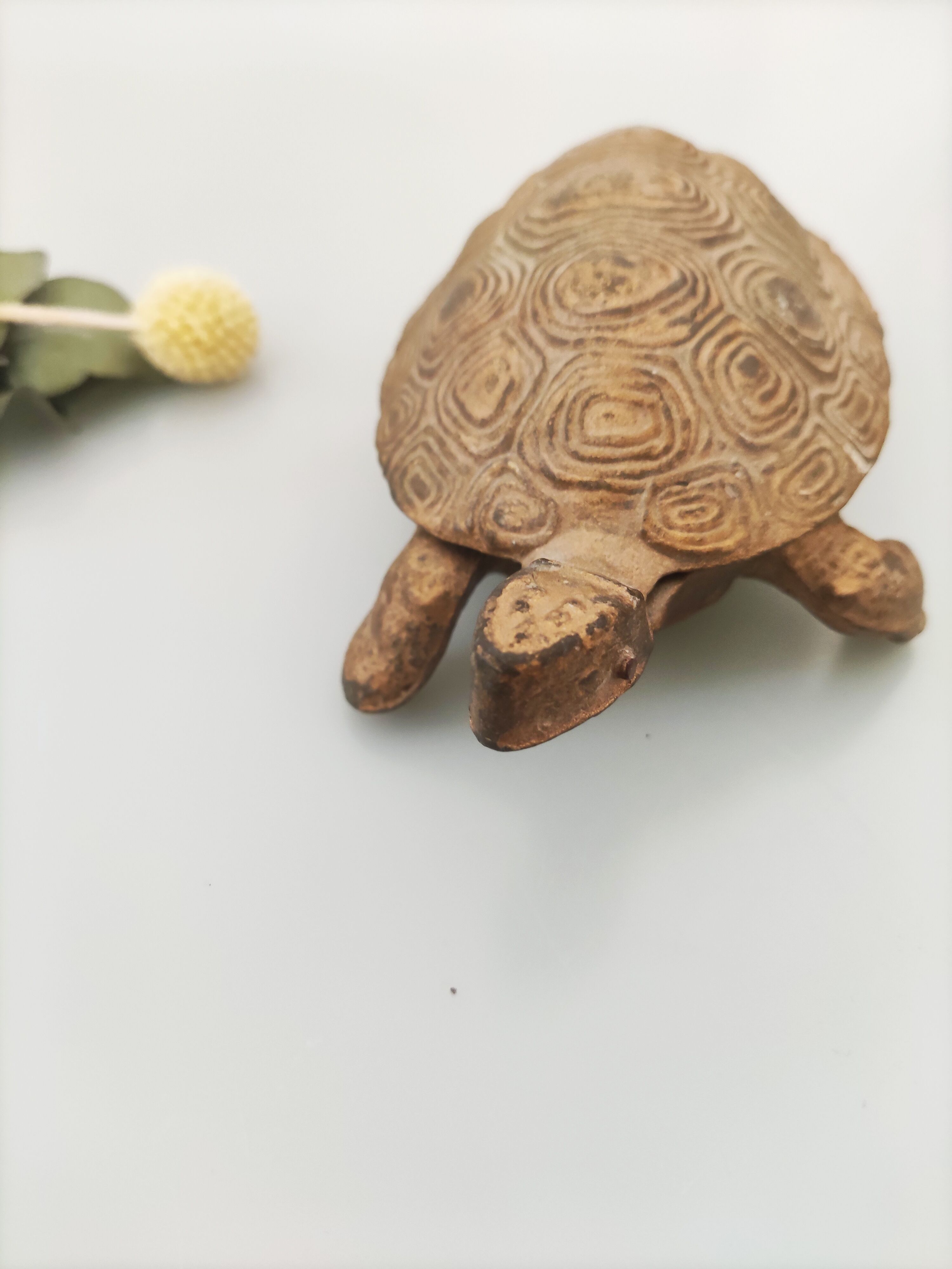 Turtle brass ashtray