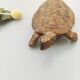 Cendrier laiton tortue