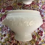CNP Wild Ivy Bowl