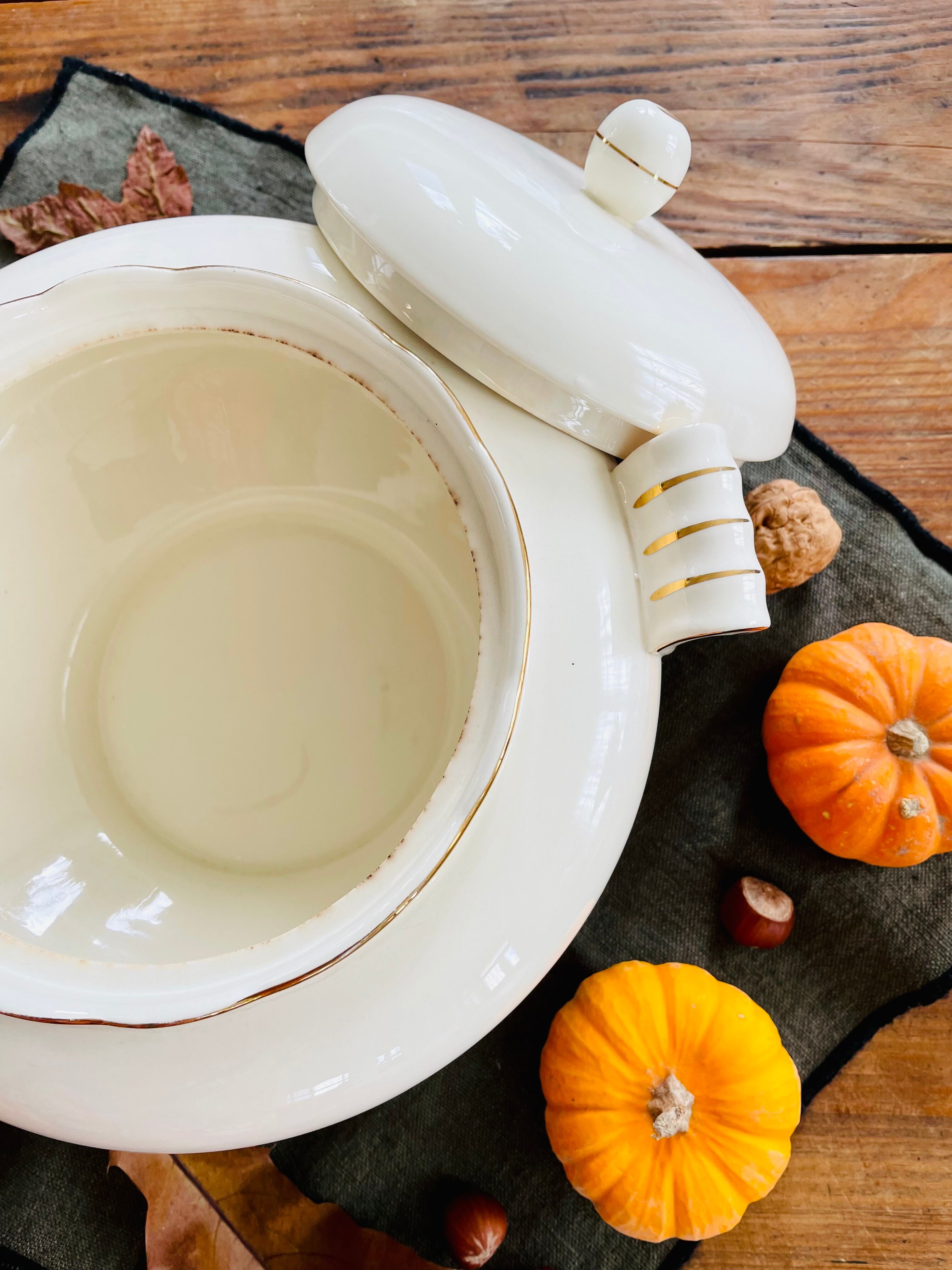 Villeroy & Boch porcelain tureen Rhône collection