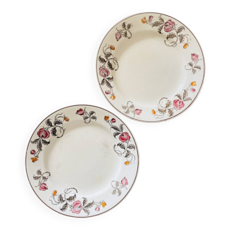 Lot de 2 assiettes plates terre de fer Longchamp