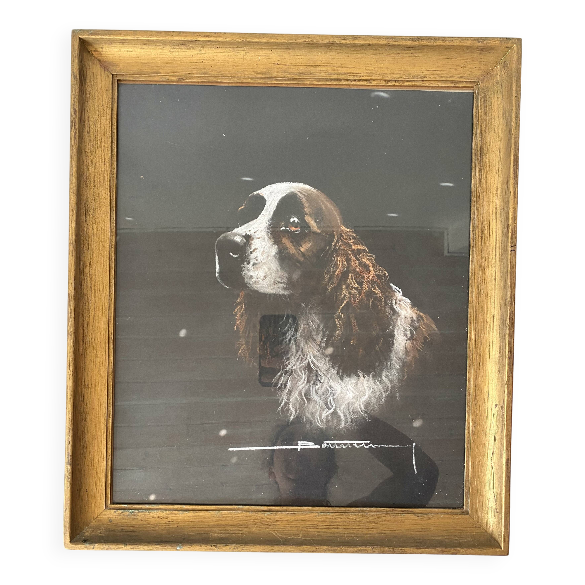 Framed pastel English Springer Spaniel dog