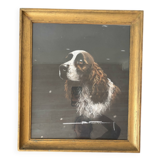 Pastel encadré chien épagneul Springer anglais