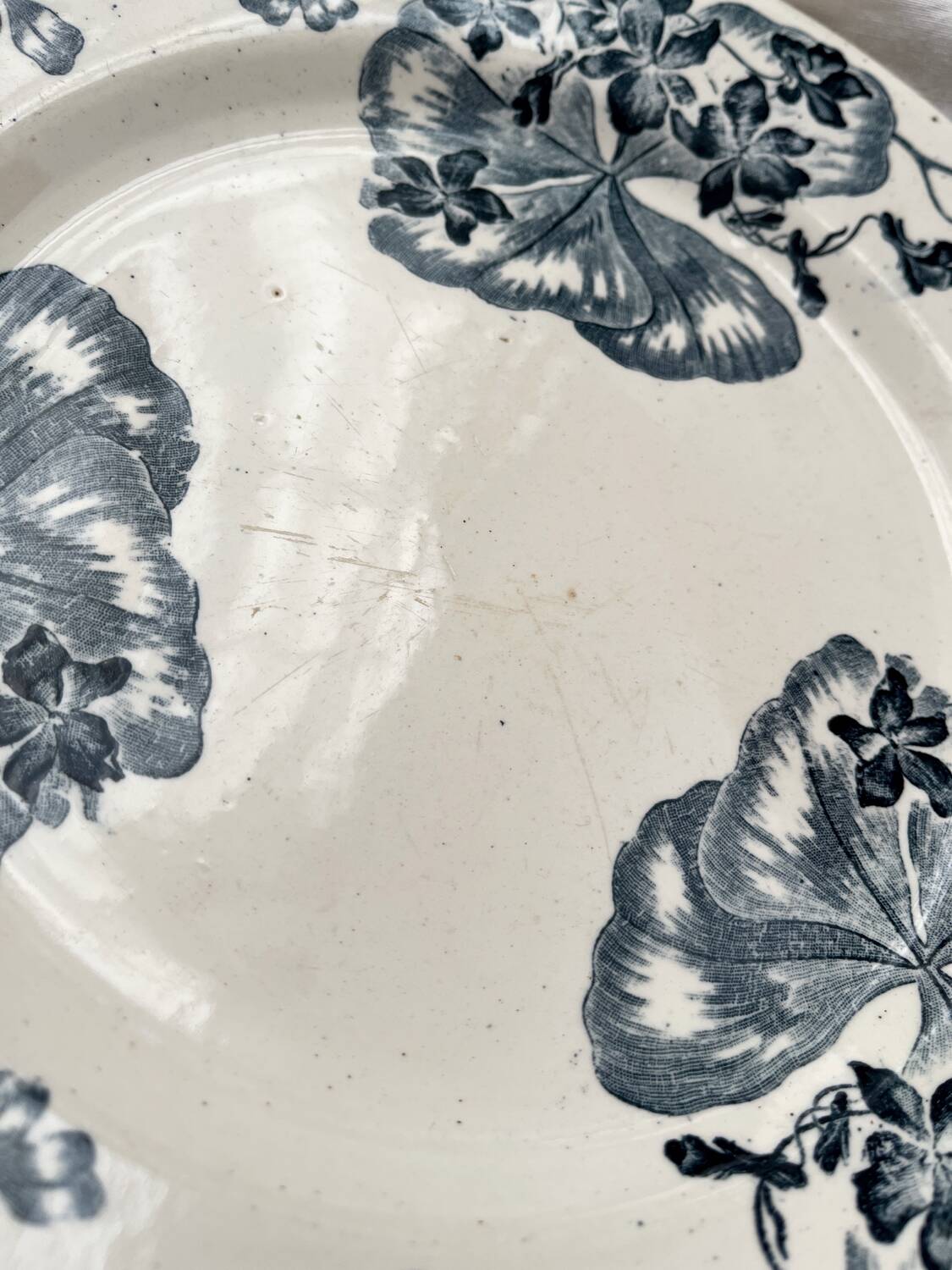 4 ironstone dinner plates “Les Violettes” Salins