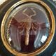 Cabinet of Curiosities medallion with scorpion odonturus dentatus