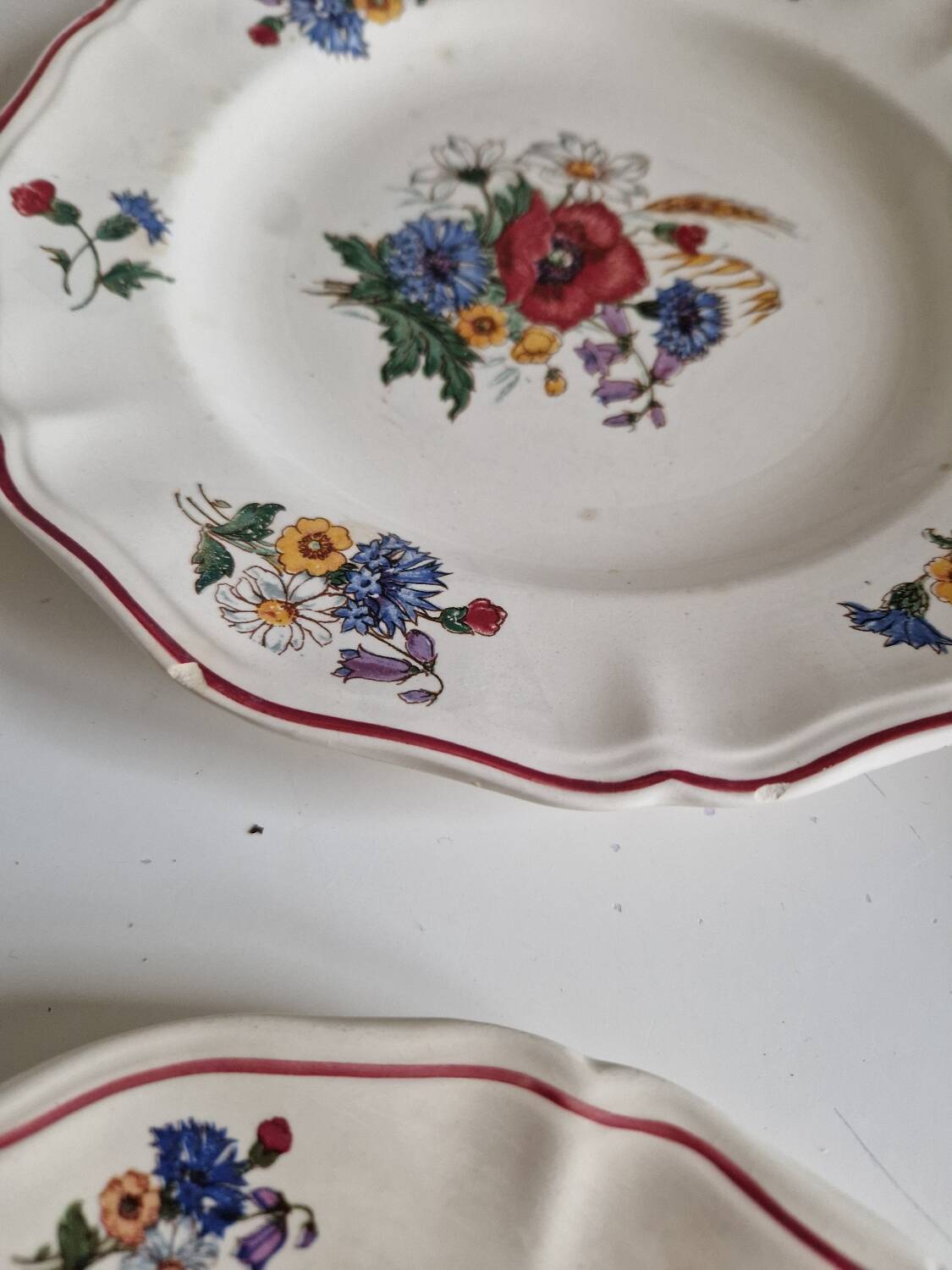 Set of 12 Sarreguemines Plates, Agreste Models