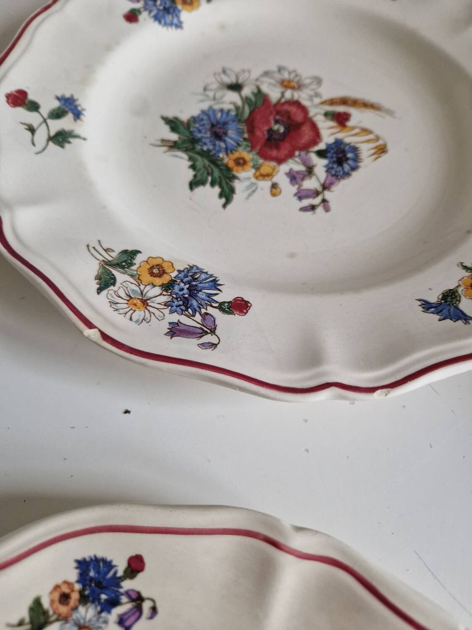 Set of 12 Sarreguemines Plates, Agreste Models