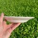 Deep plates - England