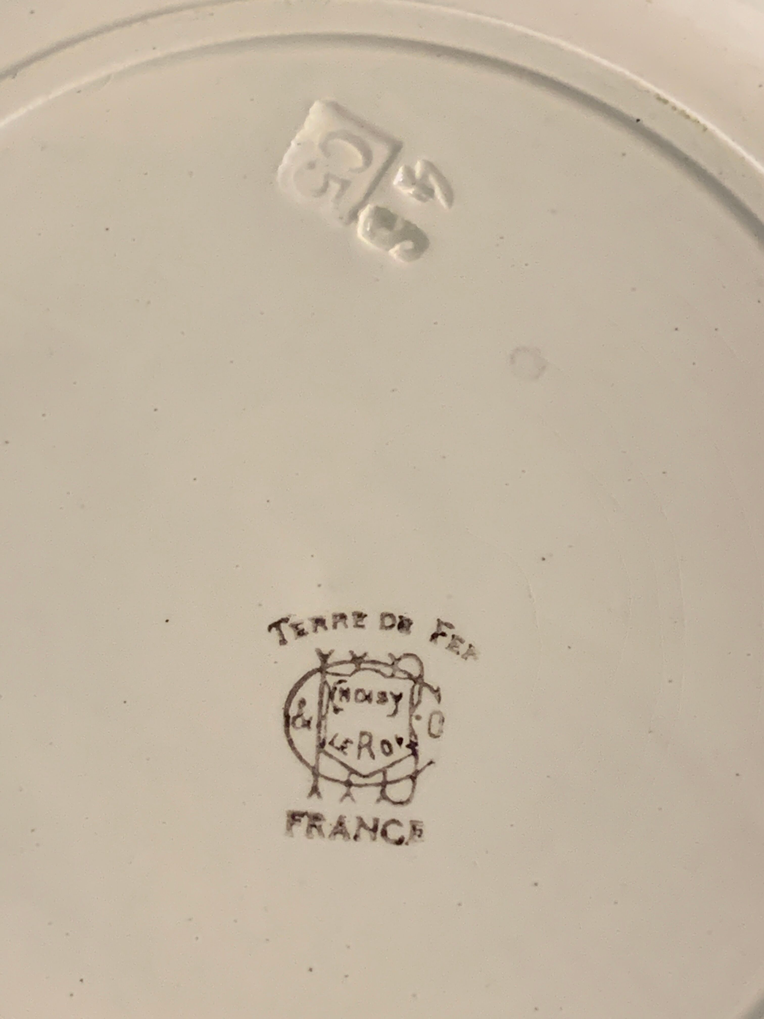 6 plates in earthenware rooster Terre de Fer Choisy Le Roy, 20th century