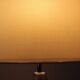 Silver Plated Vintage Table Lamp, Germany, 1950s