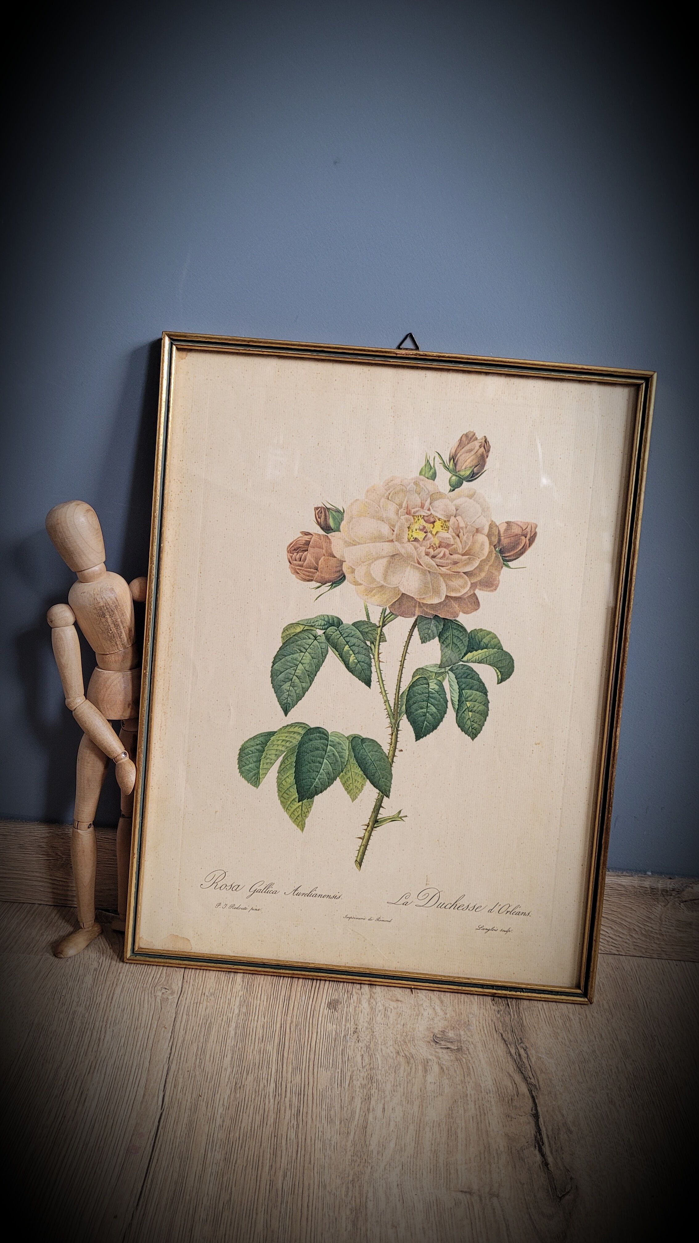 Litho Rosier Duchesse Orléans