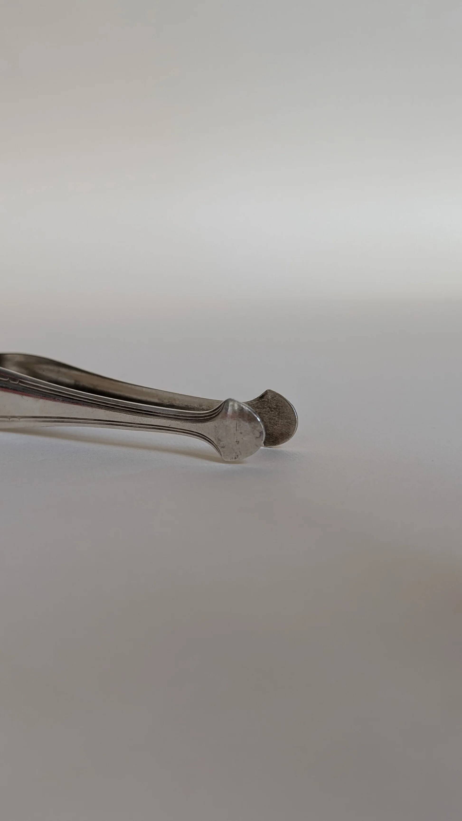 Sugar tongs
