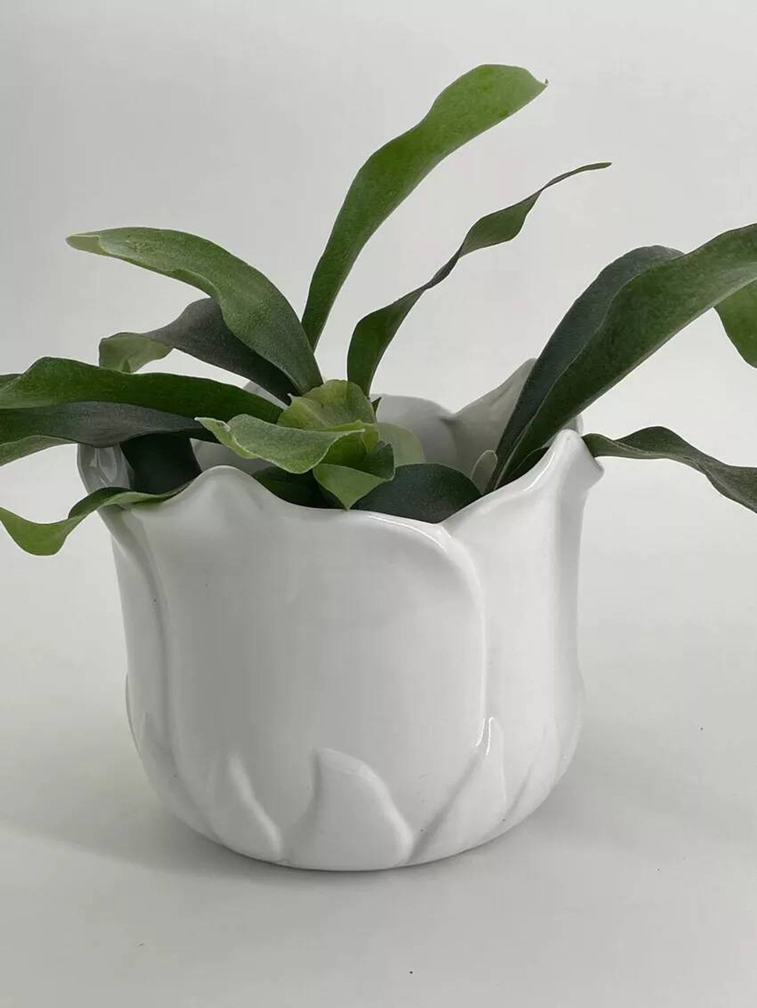 Cache-pot années 60 en porcelaine