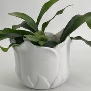Cache-pot années 60 en porcelaine