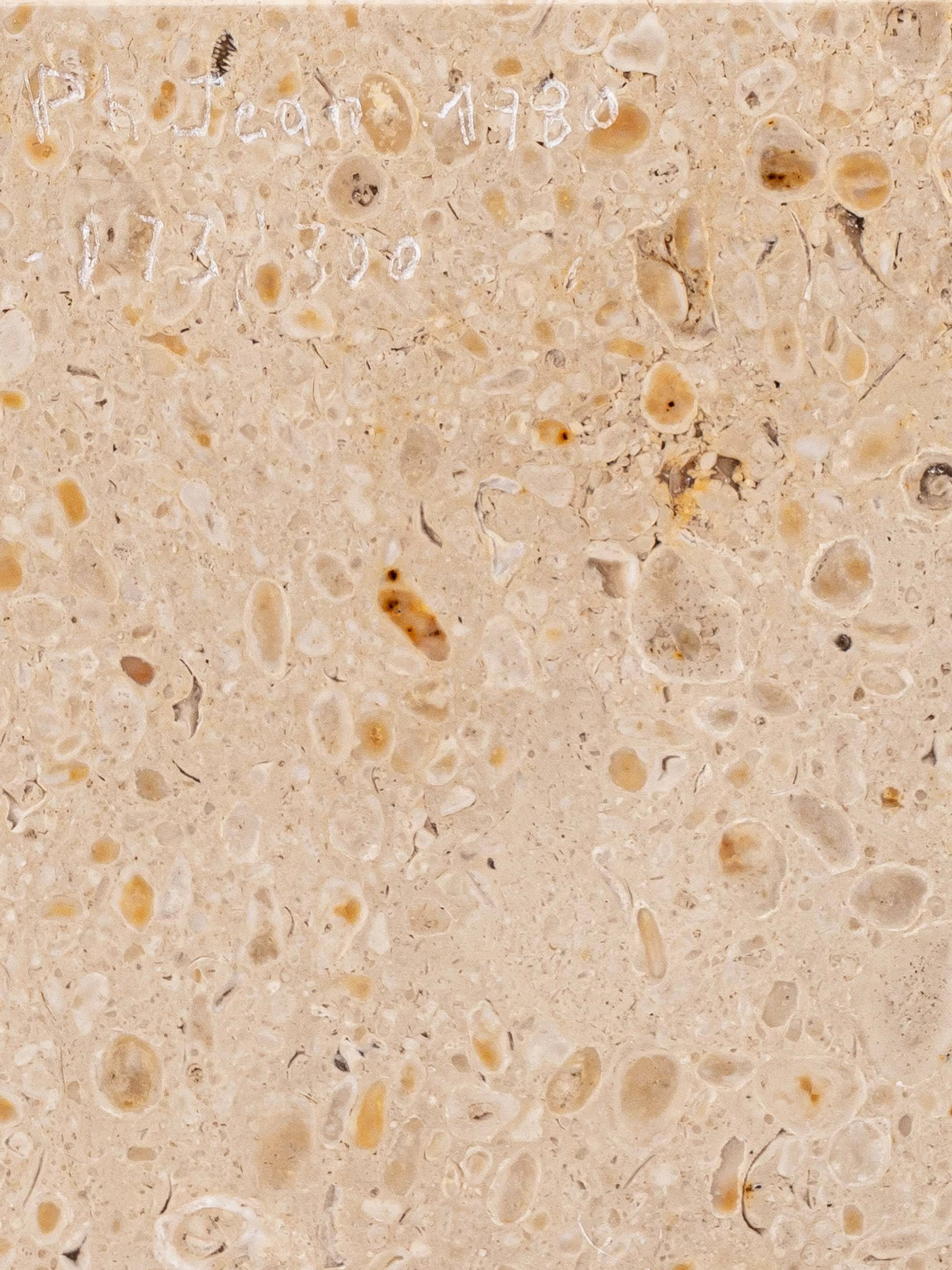 Pair of Philippe Jean Sculptural Brass Bird Table Lamps, Signed Limited Editions