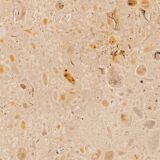 Pair of Philippe Jean Sculptural Brass Bird Table Lamps, Signed Limited Editions