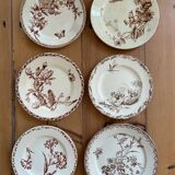 Mismatched set of 6 old flat plates
