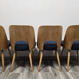 Dining Chairs by Oswald Haerdtl, 1950s, Set of 4