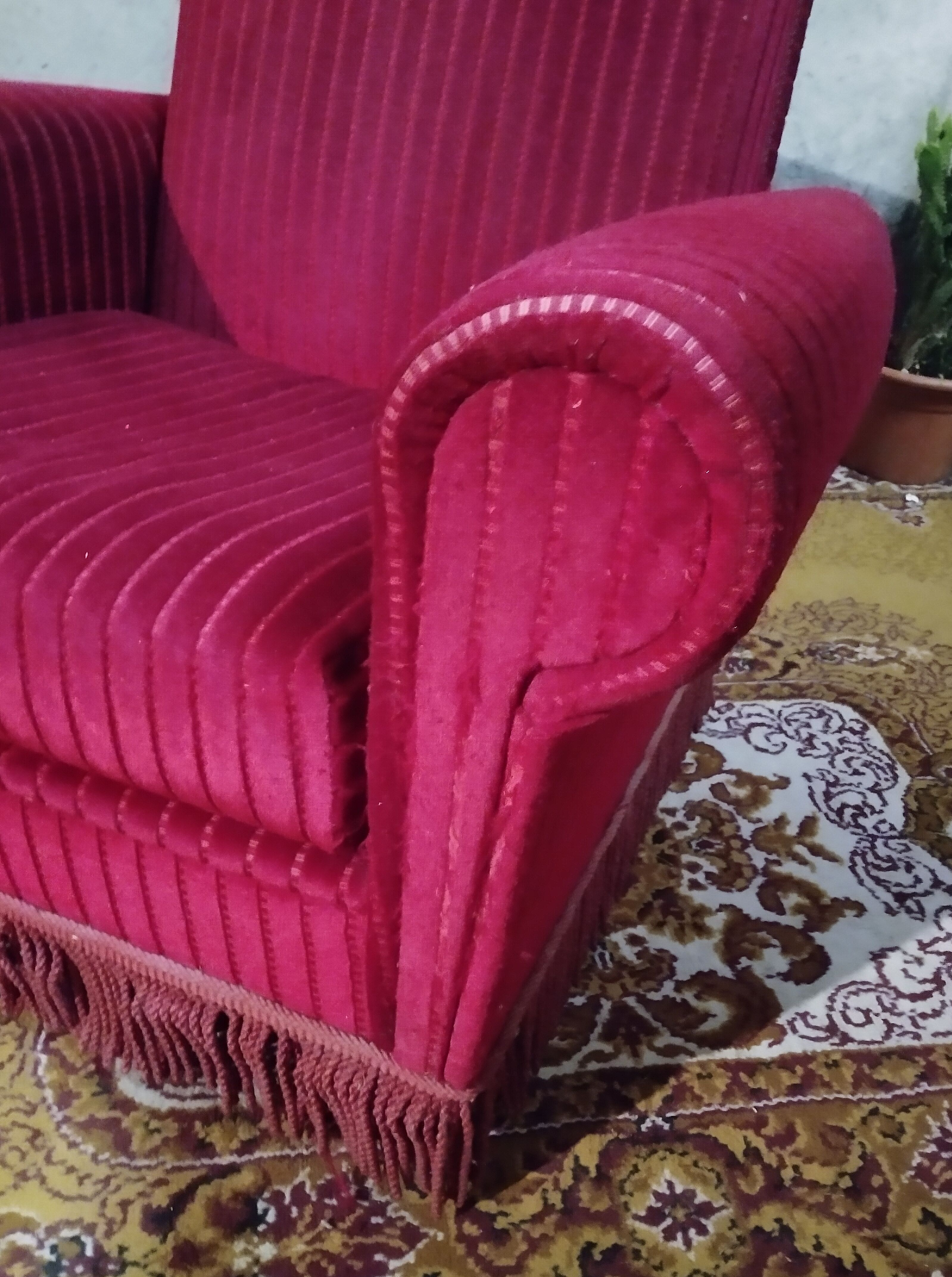 Pair of velvet armchairs