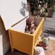 Toy chest