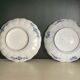 Duo of plates Imari porcelain nineteenth century.