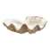 Natural white beige shell vide poche from the 1970s.