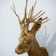 Trophy bust head chevreuil deer taxidermy gold gold