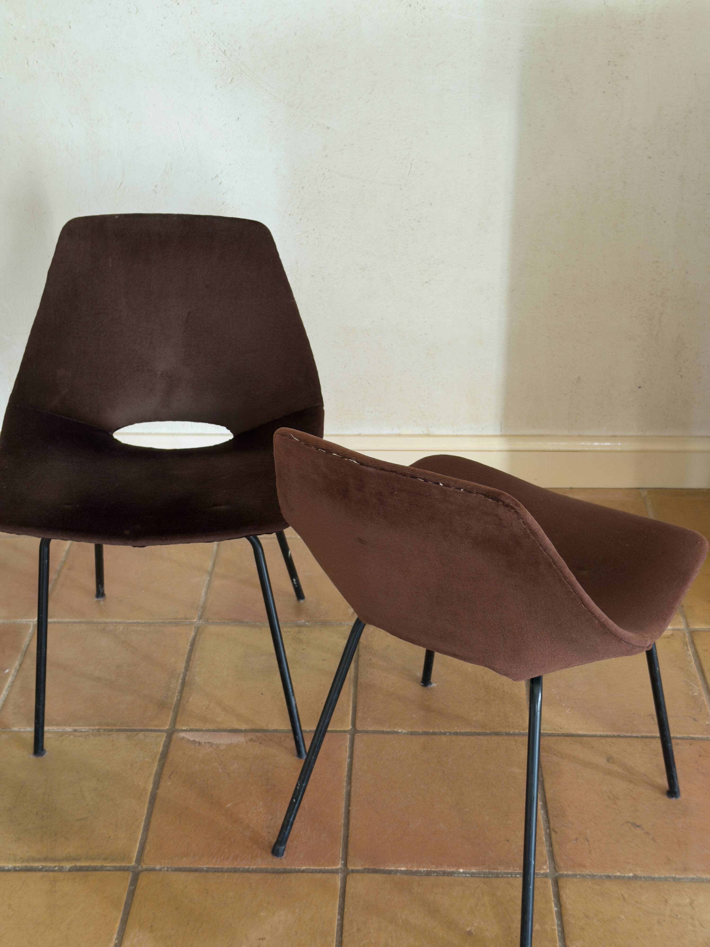 Pair of chairs by Pierre Guariche – French modernism, 1960s