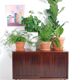 Danish vintage furniture with rosewood sliding doors Hundevad