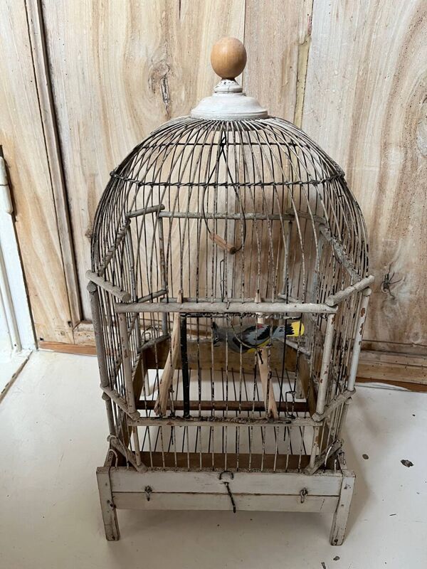 Cage à oiseaux