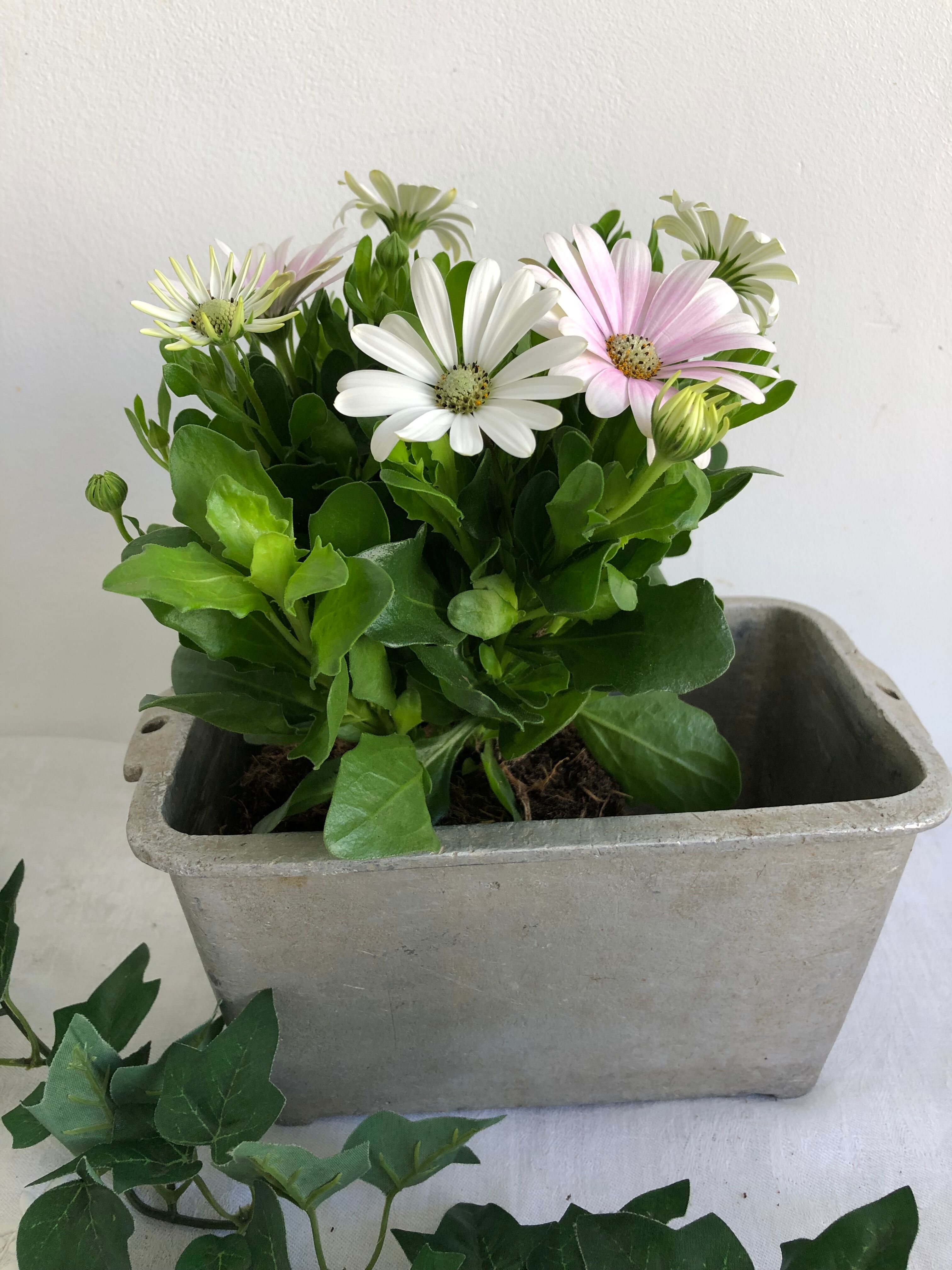 Planter for summer plantings