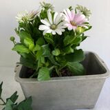 Planter for summer plantings