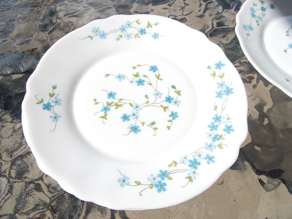 Service for 4 people forget-me-not arcopal