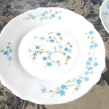 Service for 4 people forget-me-not arcopal