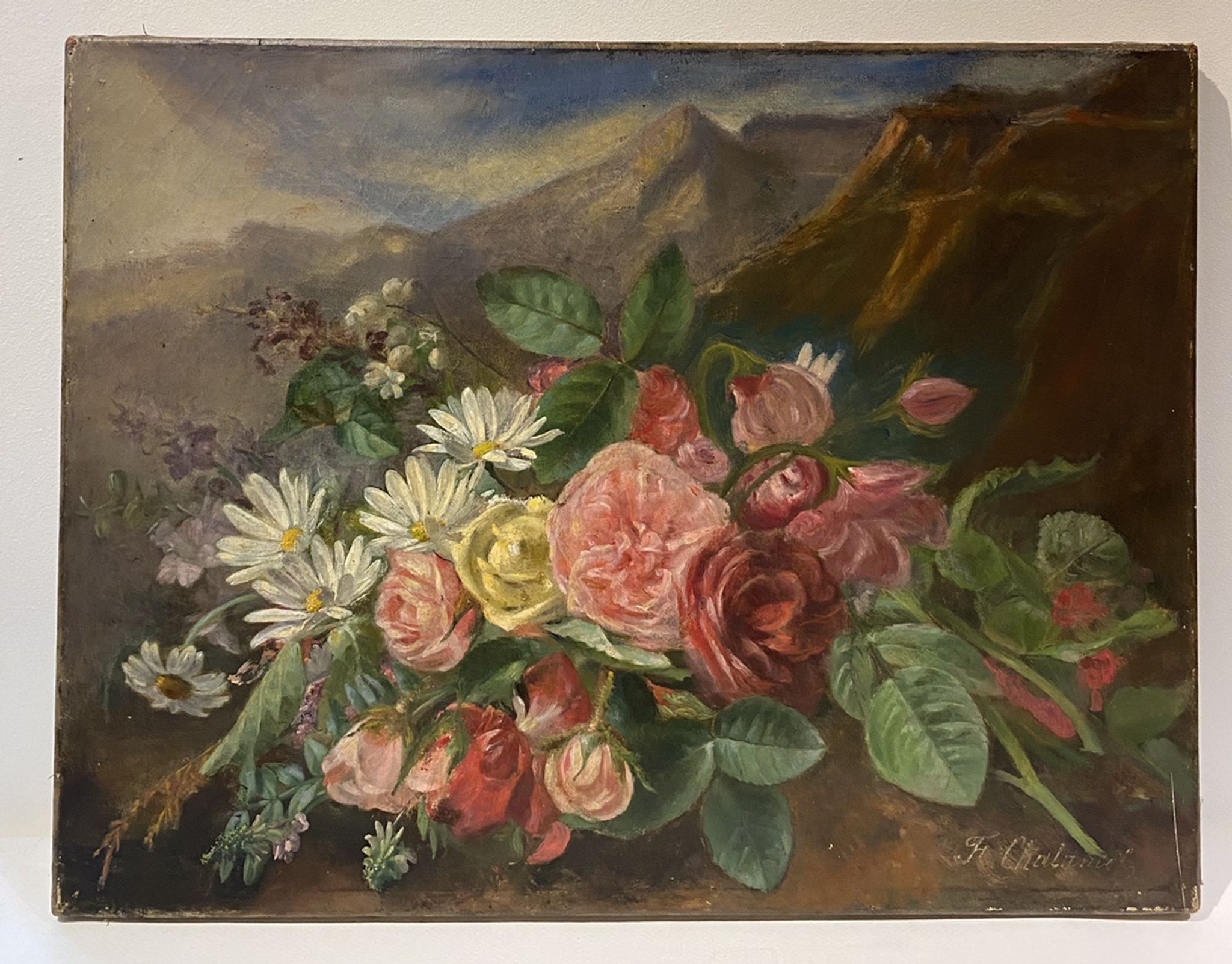 Old painting, still life with daisy roses and wild flowers, signed, early XX century