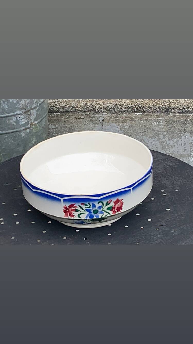 Salad bowl, Elorn model, Digoin and Sarreguemines, France, carnation motifs