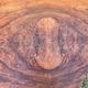 Rare table a manger octogonale art deco