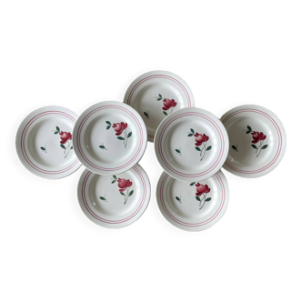 7 antique dessert plates in Gien earthenware