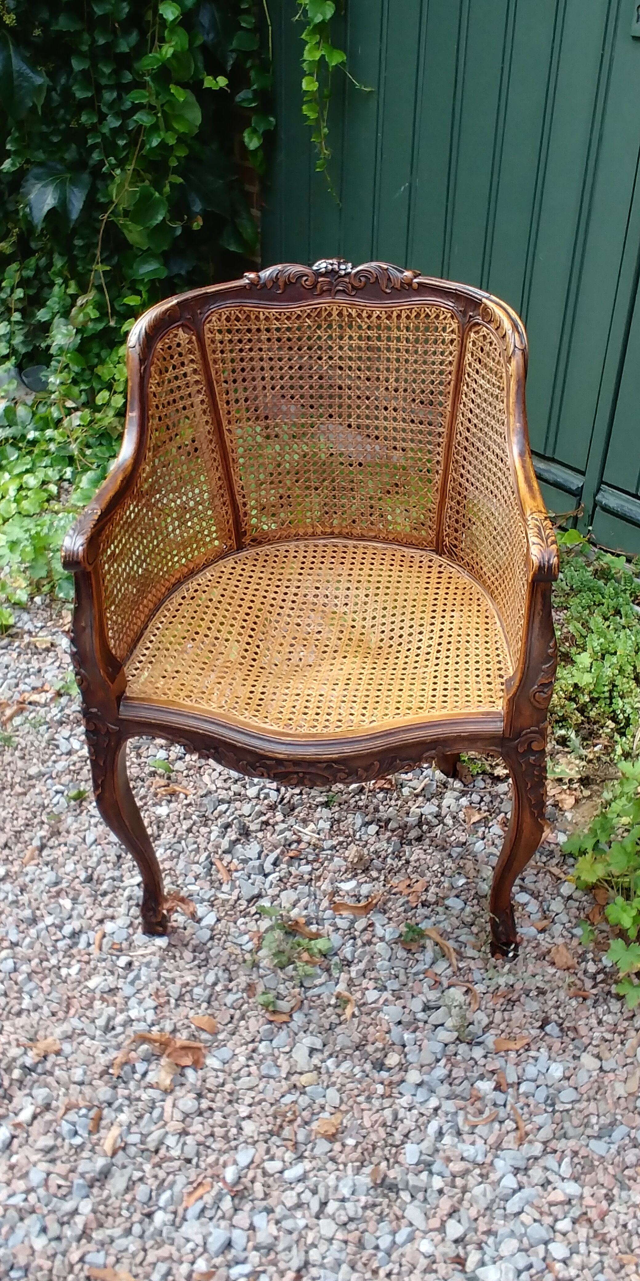Canna armchair