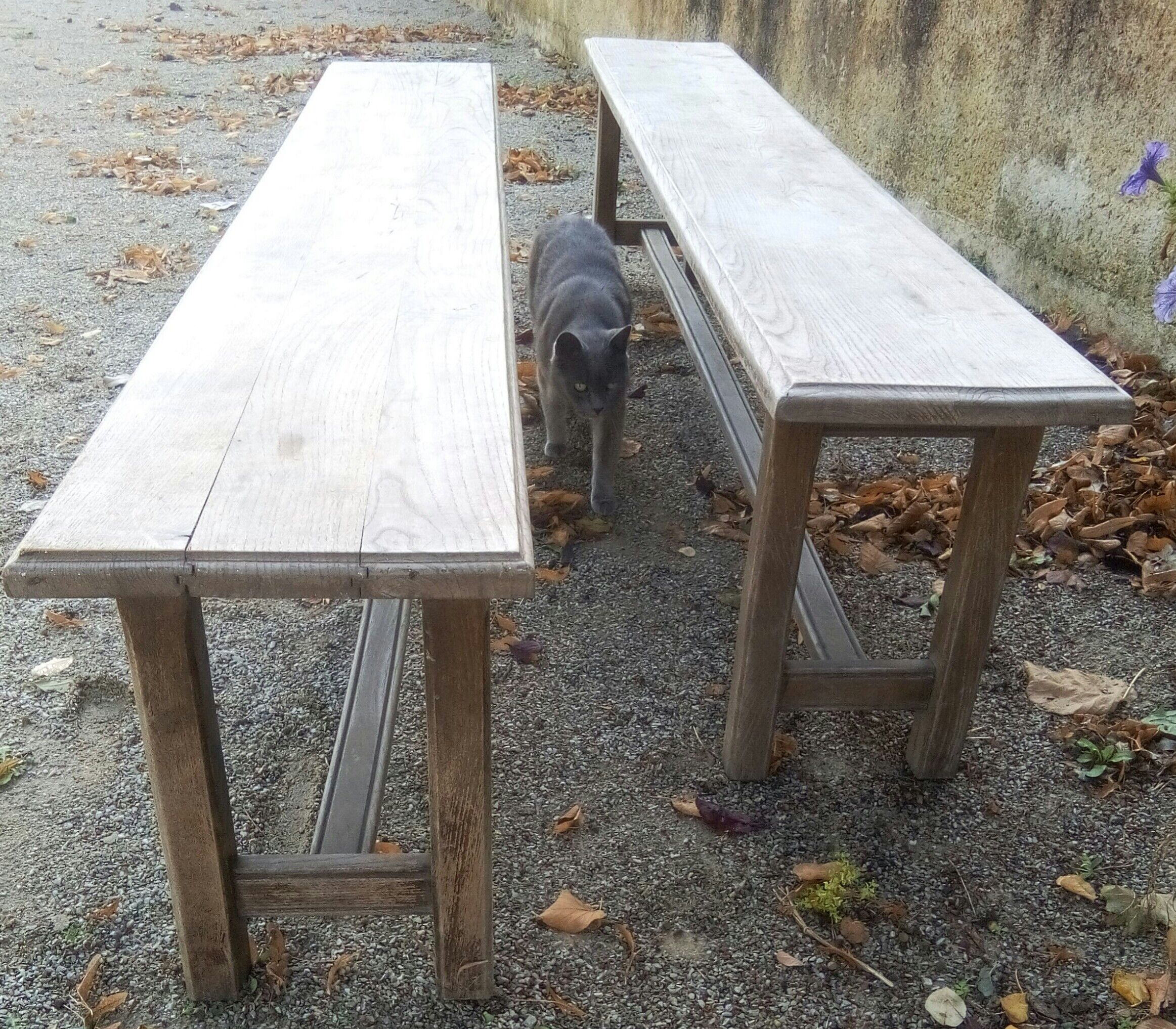 Pair of oak benches