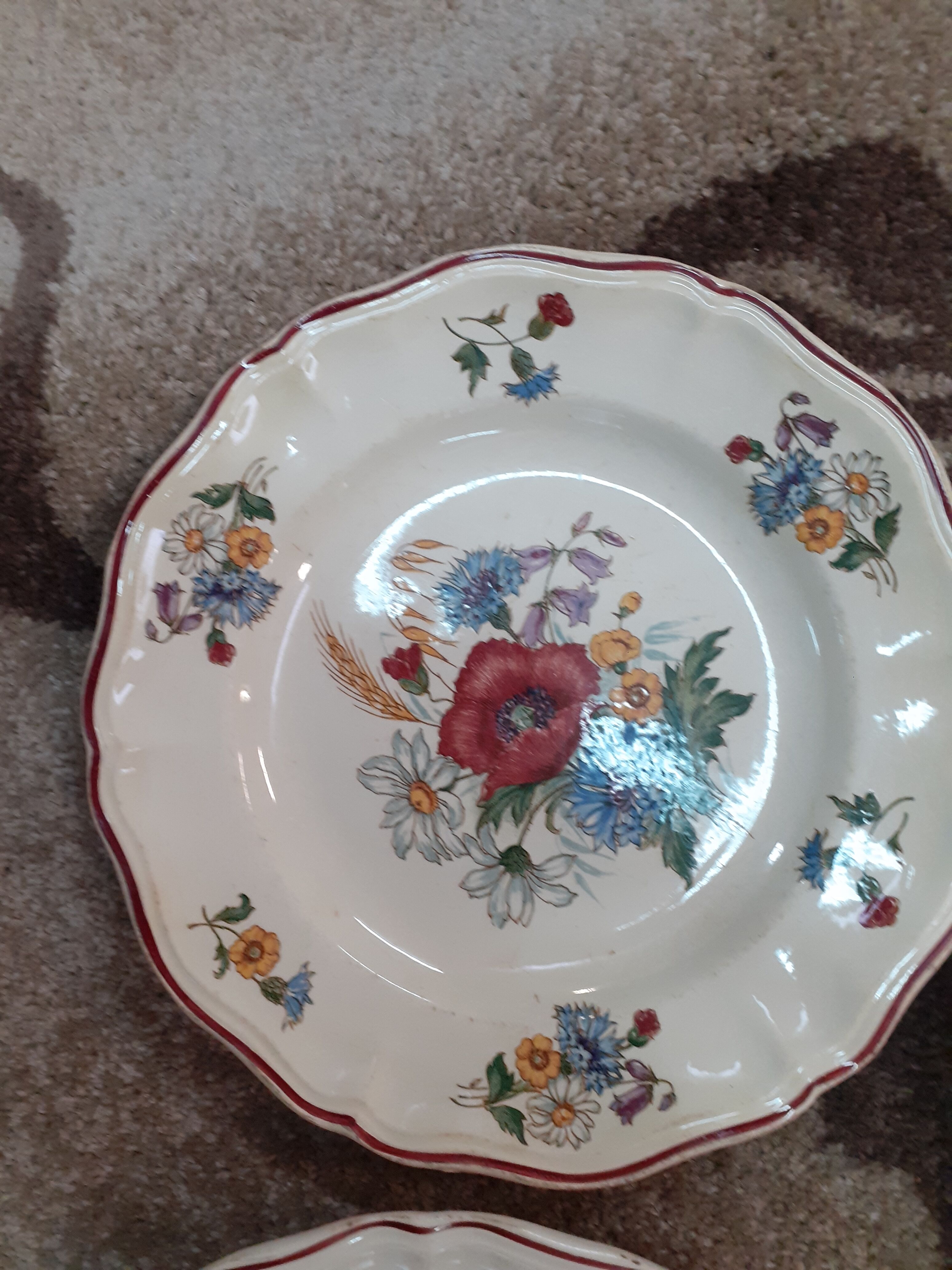 Lot of 6 flat plates Sarreguemines model aggressive
