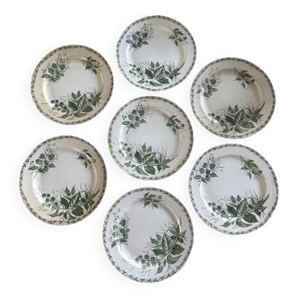 7 assiettes plates terre de fer.