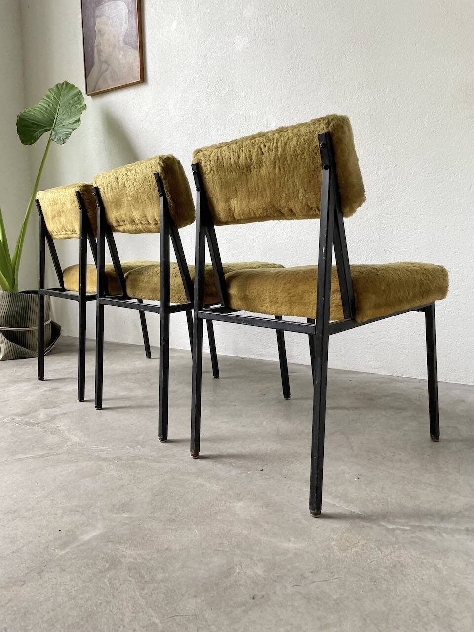Set de trois chaises années 50