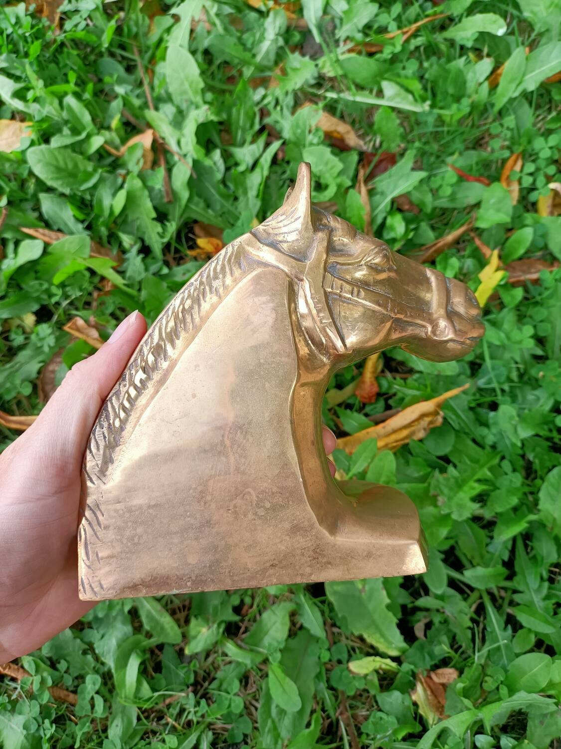 Serres Livres Laiton Cheval Vintage